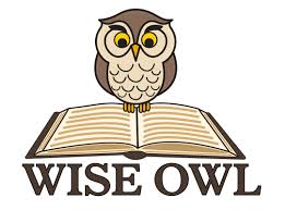 wise owl2